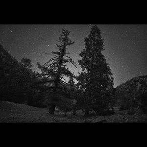 Meet your Posher, Nic